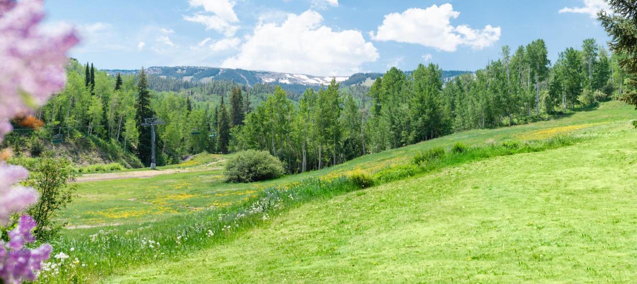 Laurelwood Condominiums Studio Premier Unit 105 Snowmass Village Exterior foto